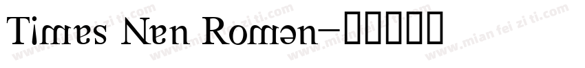 Times Nen Roman字体转换